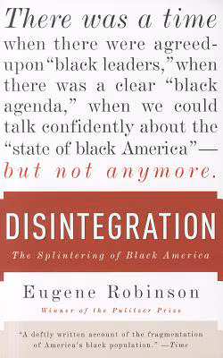 Disintegration: The Splintering of Black America
