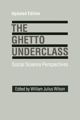 Book Cover Image of The Ghetto Underclass: Social Science Perspectives (Updated) by William Julius Wilson