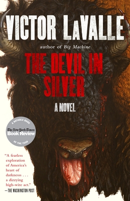 Book Cover Devil in Silver by Victor Lavalle