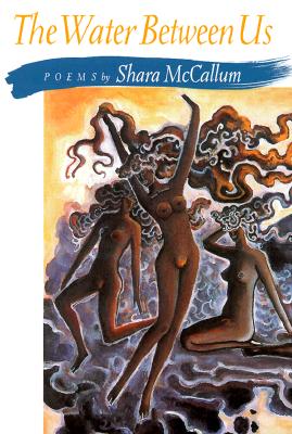 Click for more detail about The Water Between Us by Shara McCallum
