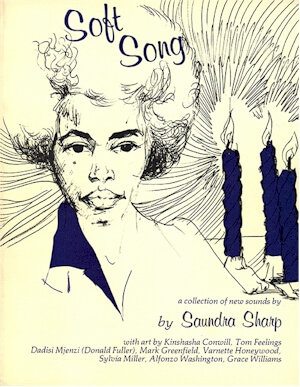 Book Cover Image of Soft Song by S. Pearl Sharp