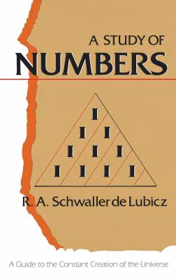 Cover: A Study of Numbers: A Guide to the Constant Creation of the Universe
