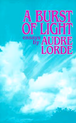 A Burst of Light Essays