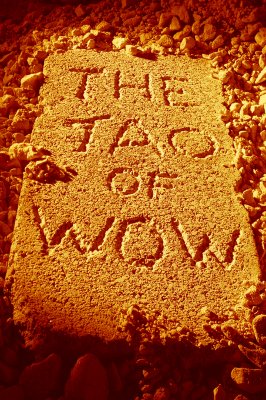 Click for more detail about The Tao of Wow (The Wow Factor, The Tao of Wow, The Art of Wow) by Walt Goodridge