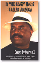 In the Crazy House Called America