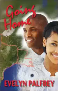 Book cover of Going Home by Evelyn Palfrey