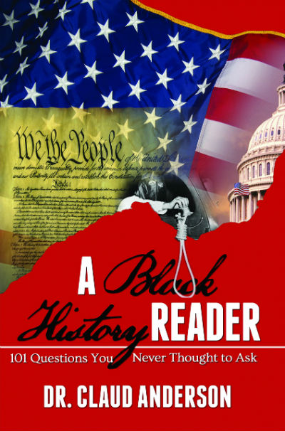 Click to go to detail page for A Black History Reader: 101 Questions You Never Thought to Ask
