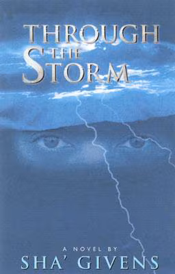 Cover of Through the Storm
