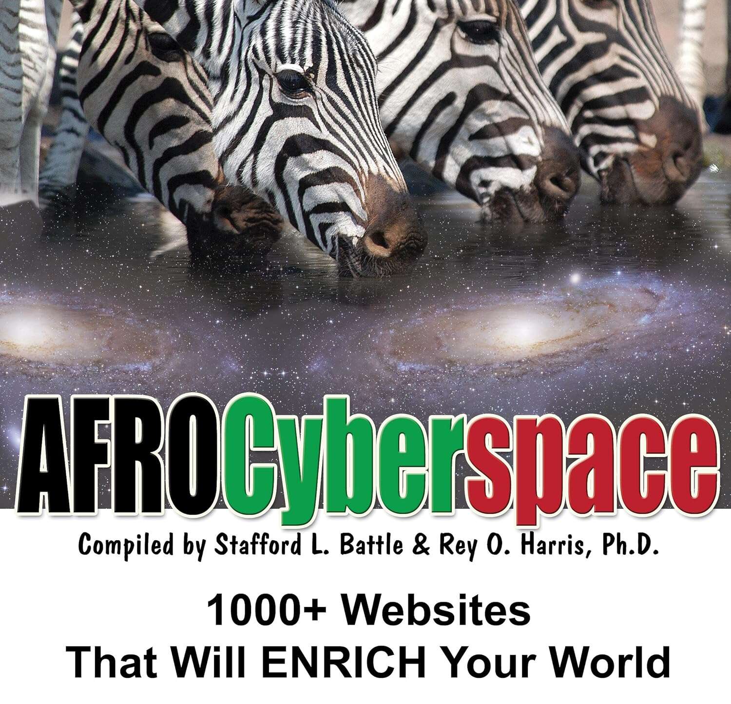 AfroCyberspace