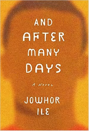 Cover: And After Many Days: A Novel