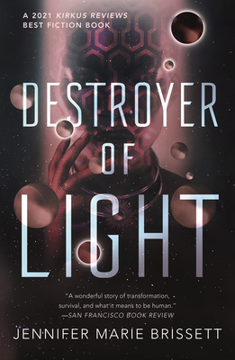 Book Cover Image: Destroyer of Light by Jennifer Marie Brissett