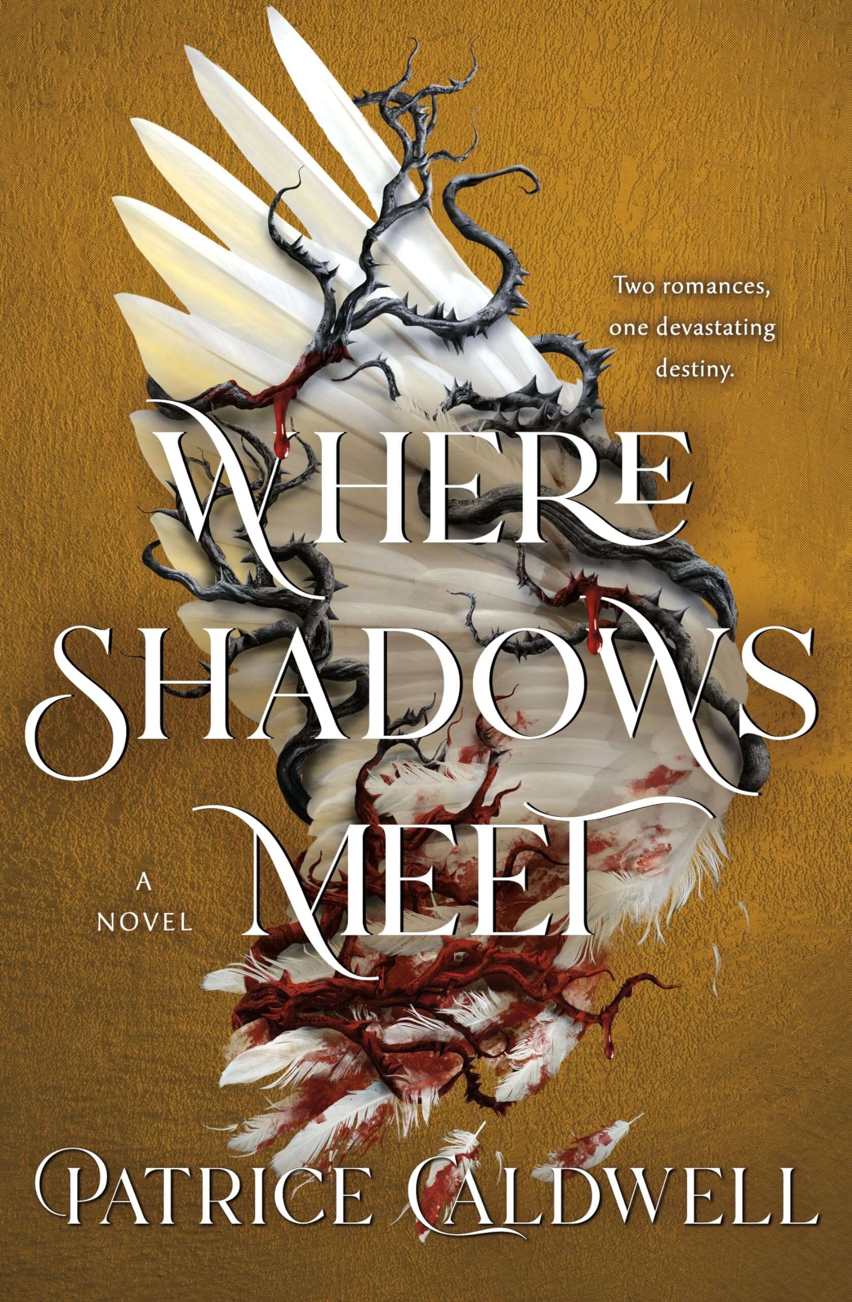 Cover: Where Shadows Meet