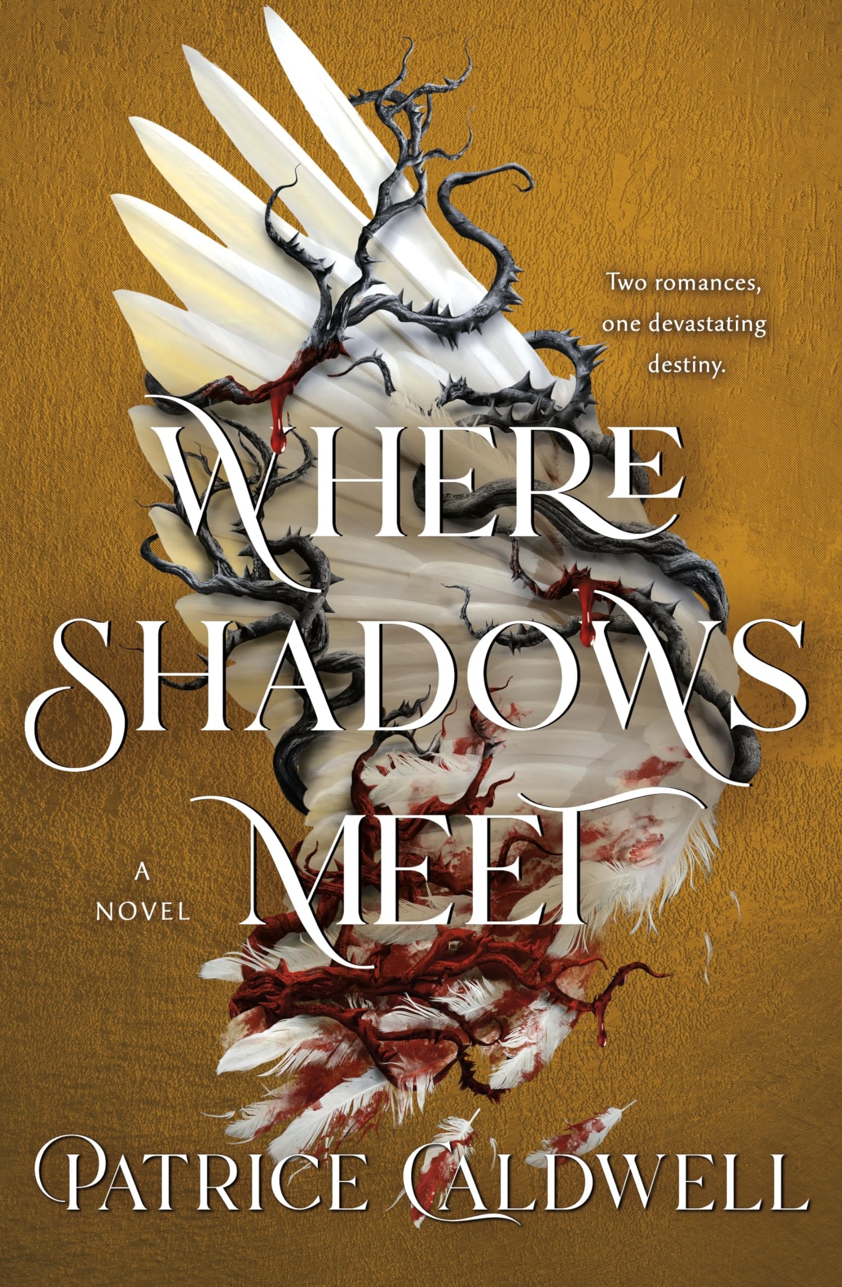 Where Shadows Meet