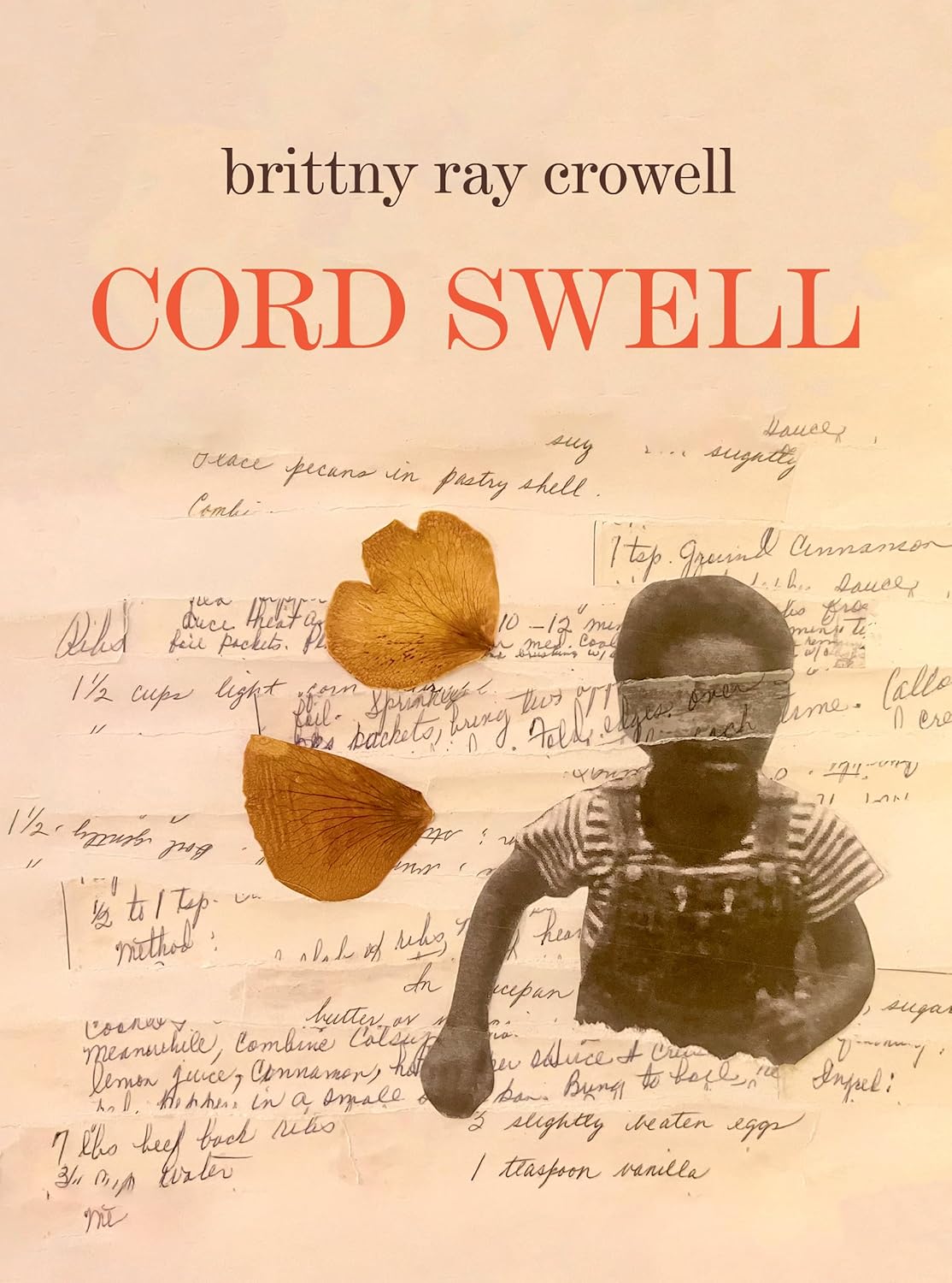 Book Cover Cord Swell by Brittny Ray Crowell