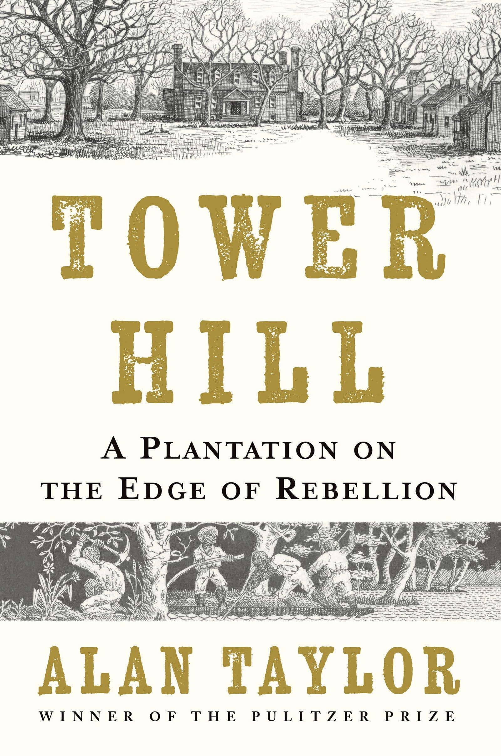 Cover: Tower Hill: A Plantation on the Edge of Rebellion