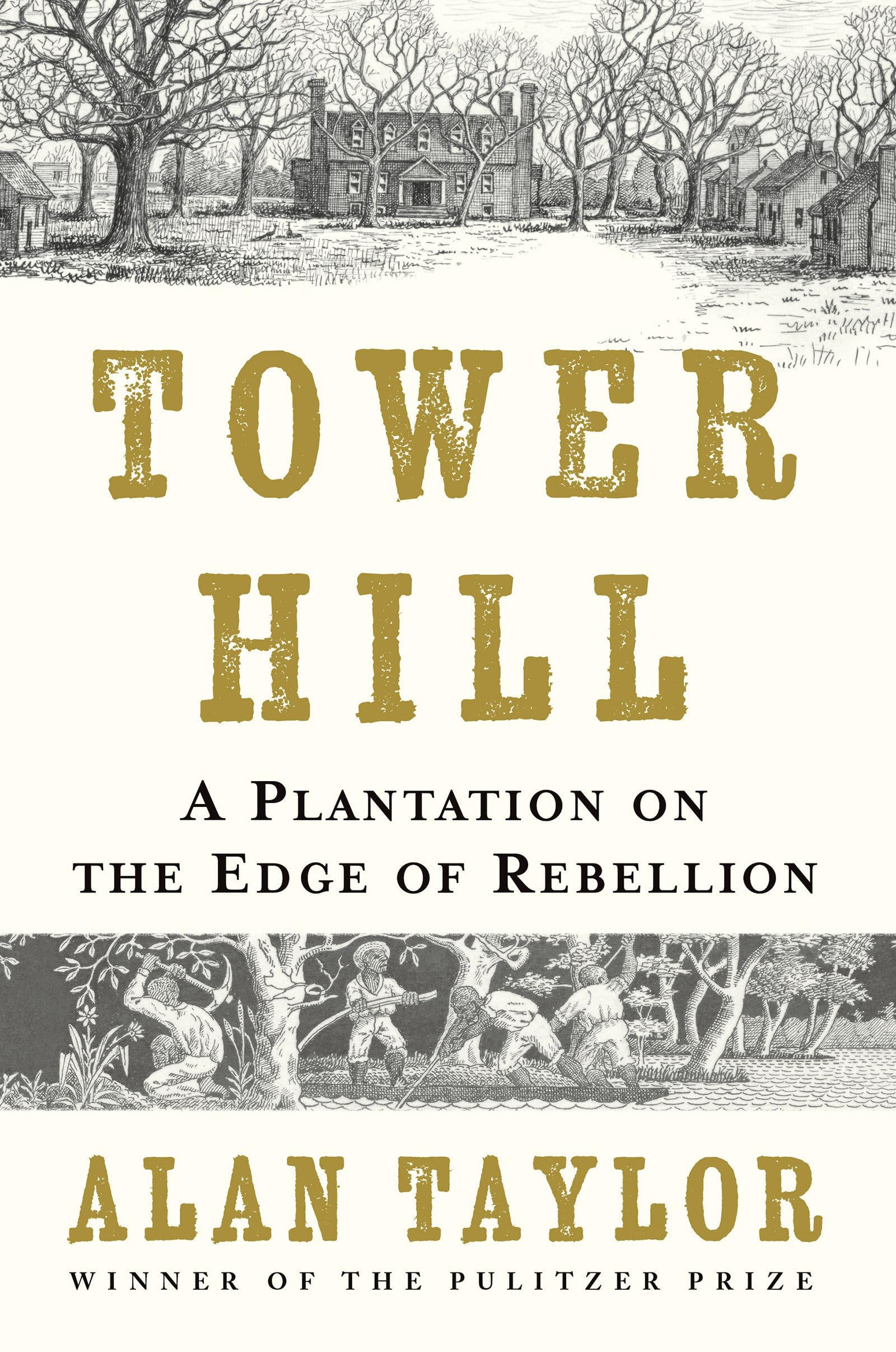Tower Hill: A Plantation on the Edge of Rebellion