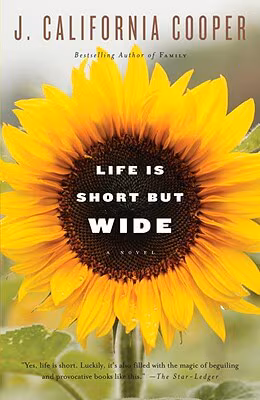 Cover: Life Is Short but Wide