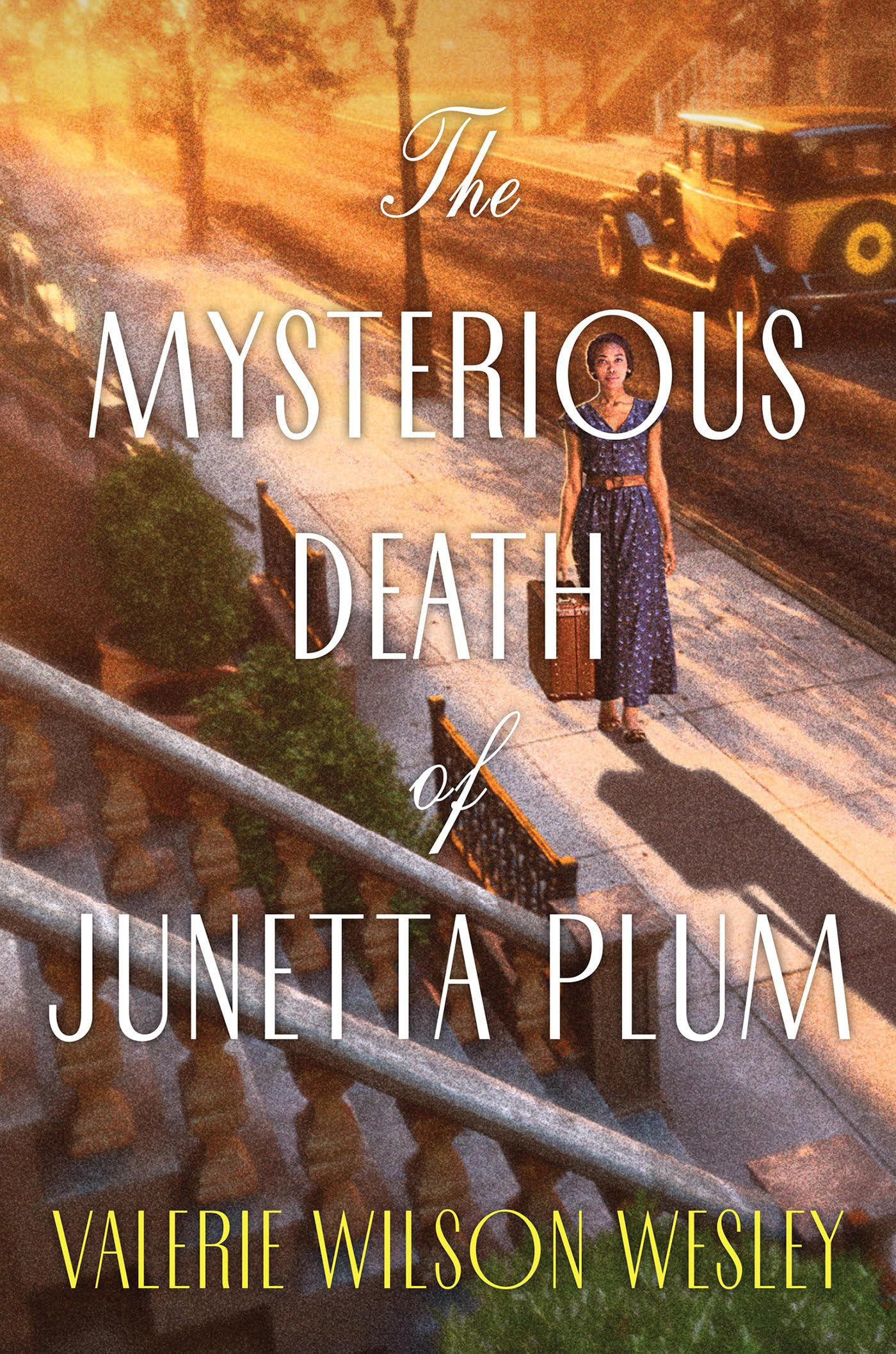 The Mysterious Death of Junetta Plum (paperback)