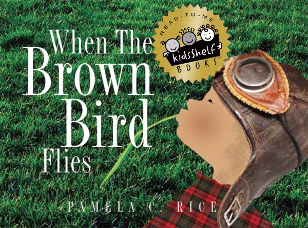 Cover: When The Brown Bird Flies