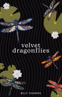 Cover: Velvet Dragonflies
