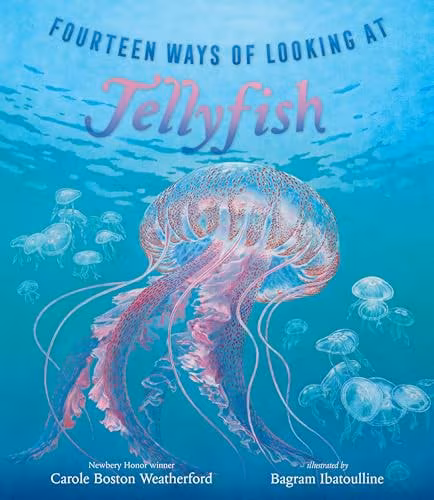 Fourteen Ways of Looking at Jellyfish