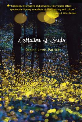 Book Cover Image of A Matter of Souls by Denise Lewis Patrick