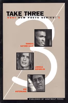 Take Three: Agni New Poets Series:  1 (Vol 1)