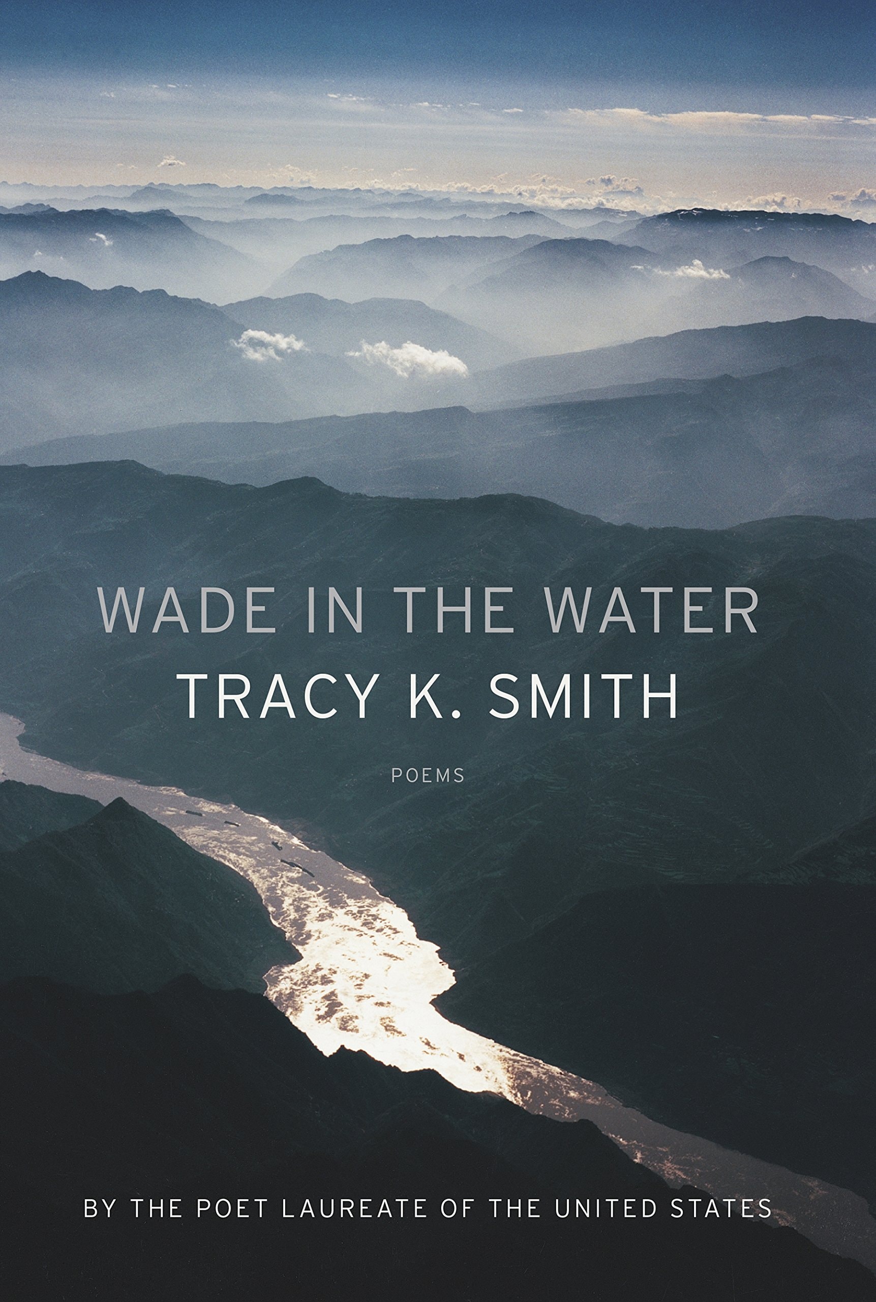 book cover Wade in the Water: Poems (paperback) by Tracy K. Smith