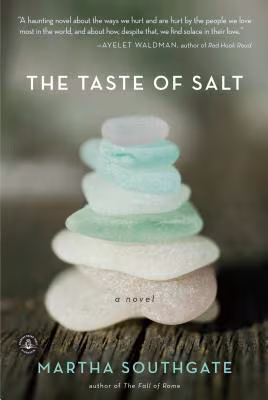 Cover art for The Taste Of Salt