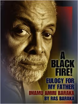 Cover: A Black Fire!