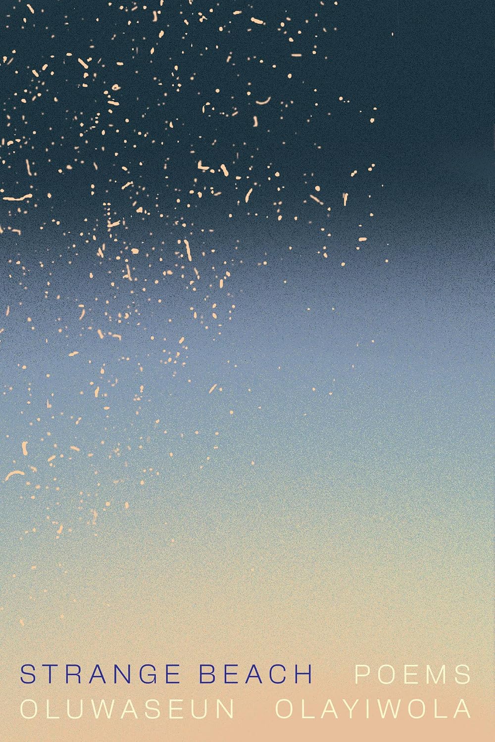 Strange Beach: Poems
