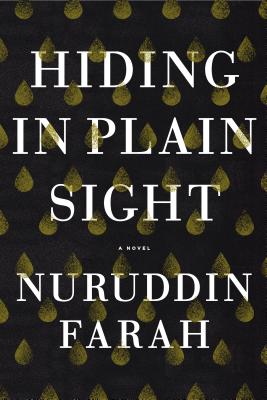 Book Cover Hiding in Plain Sight: A Novel by Marita Kinney