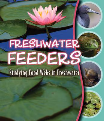 Cover: Freshwater Feeders: Studying Food Webs in Freshwater