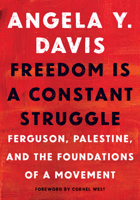 Cover: Freedom Is a Constant Struggle: Ferguson, Palestine, and the Foundations of a Movement