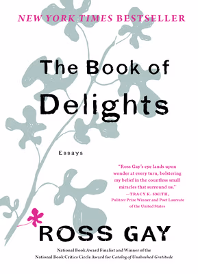 Cover: The Book of Delights: Essays