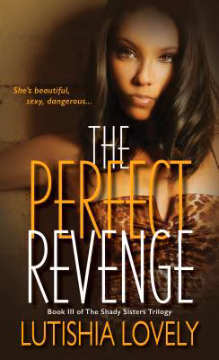 Cover: The Perfect Revenge (The Shady Sisters Trilogy)