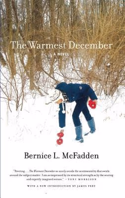 Cover: The Warmest December