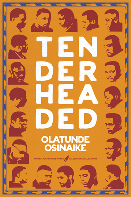 Book Cover Image: Tender Headed by Olatunde Osinaike