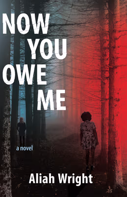Cover: Now You Owe Me