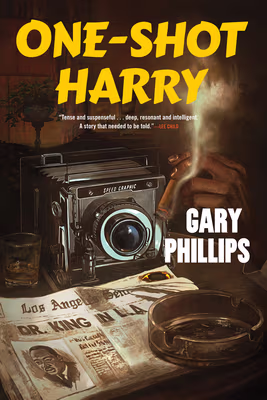 Cover: One-Shot Harry