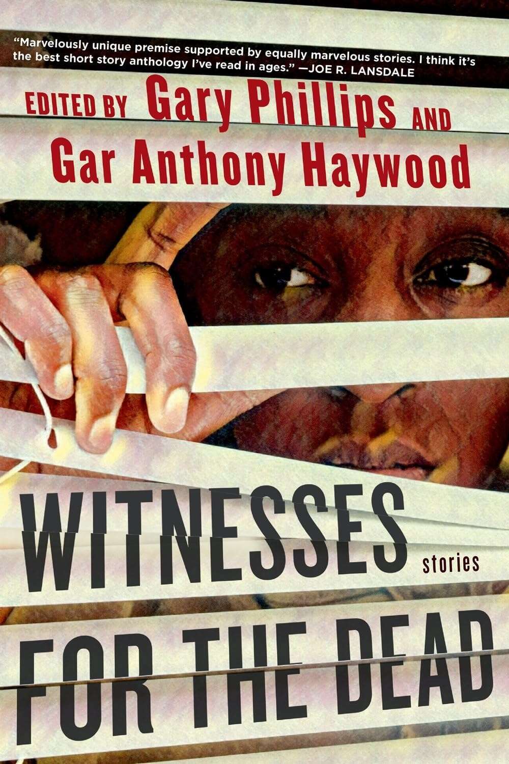 Cover: Witnesses for the Dead: Stories