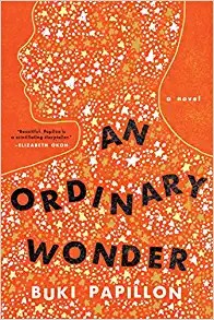 Book Cover An Ordinary Wonder by Buki Papillon