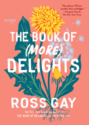 Cover art for The Book of (More) Delights: Essays