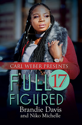 Book Cover Full Figured 17 by Brandie Davis and Niko Michelle