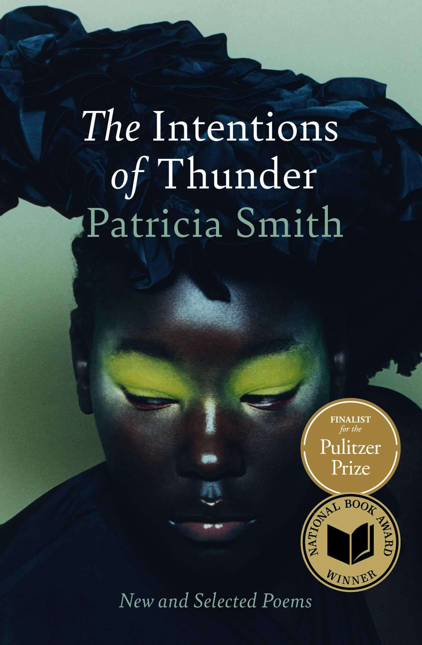 Cover for The Intentions of Thunder (paperback)