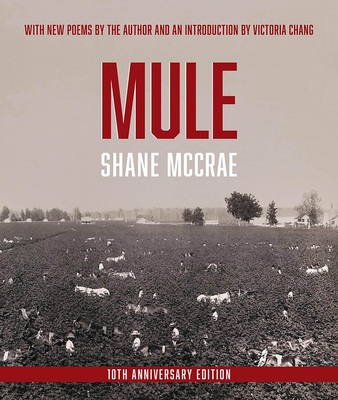 Book Cover Mule: 10th Anniversary Edition by Shane McCrae