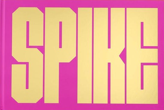 Book cover of Spike by Spike Lee