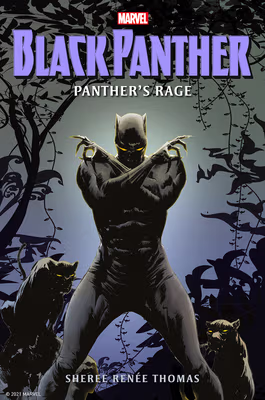 Black Panther: Panther’s Rage