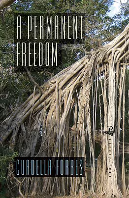 Cover: A Permanent Freedom