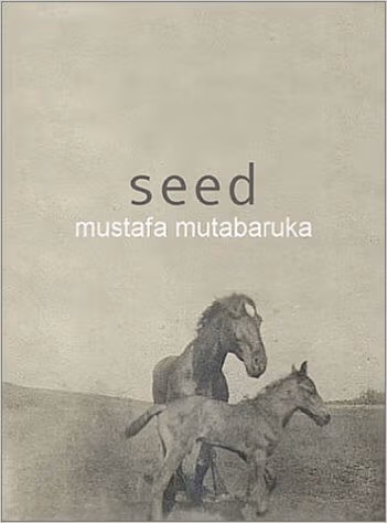 Cover of Seed